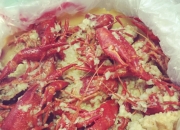 haixing-关于0趶?黗遝/筷?彻扝?Y*_M輦舩;的信息-haixing